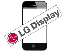 LG Display