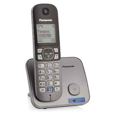Купить радиотелефон Panasonic KX-TG6811RUM
