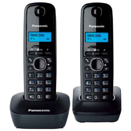 Купить Panasonic KX-TG1612RUH